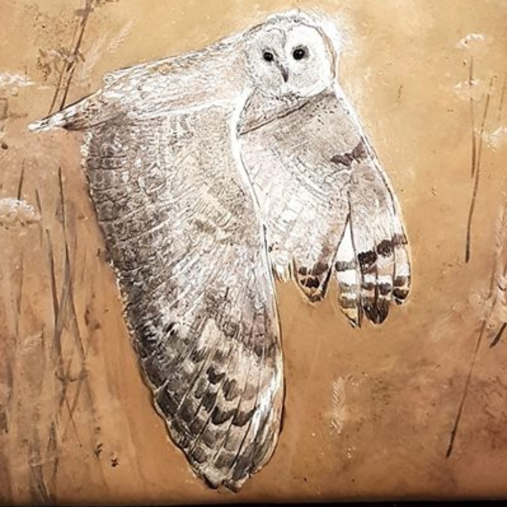 Meet your Posher, Ronnie